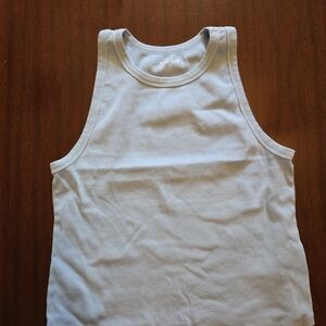 Torrid Sky Blue Sleeveless Crop Top